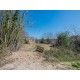 Properties for Sale_ FARMHOUSE TO RENOVATE FOR SALE IN LAPEDONA IN THE MARCHE REGION nestled in the rolling hills of the Marche in Le Marche_12